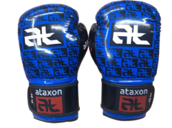 Rukavice ATAXON 10 oz pro taekwon-do ITF a kickbox