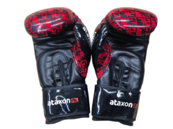 Rukavice ATAXON 10 oz pro taekwon-do ITF a kickbox